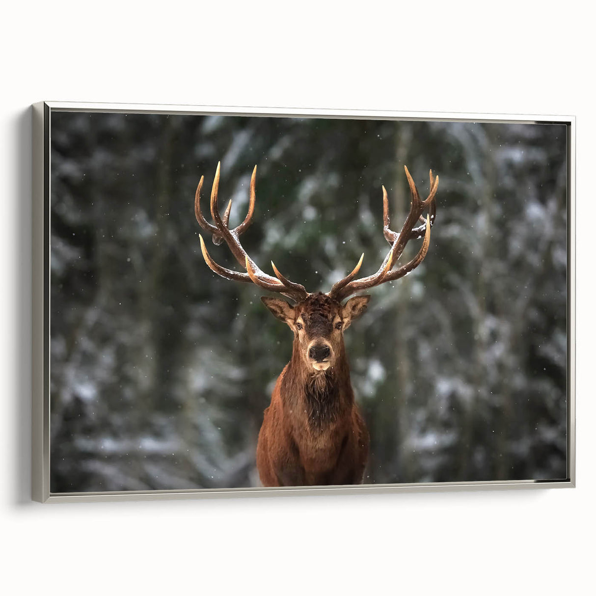 Framed canvas wall art featuring a silver side view of a majestic deer, set against a natural backdrop, ideal for wildlife enthusiasts and home decor.
