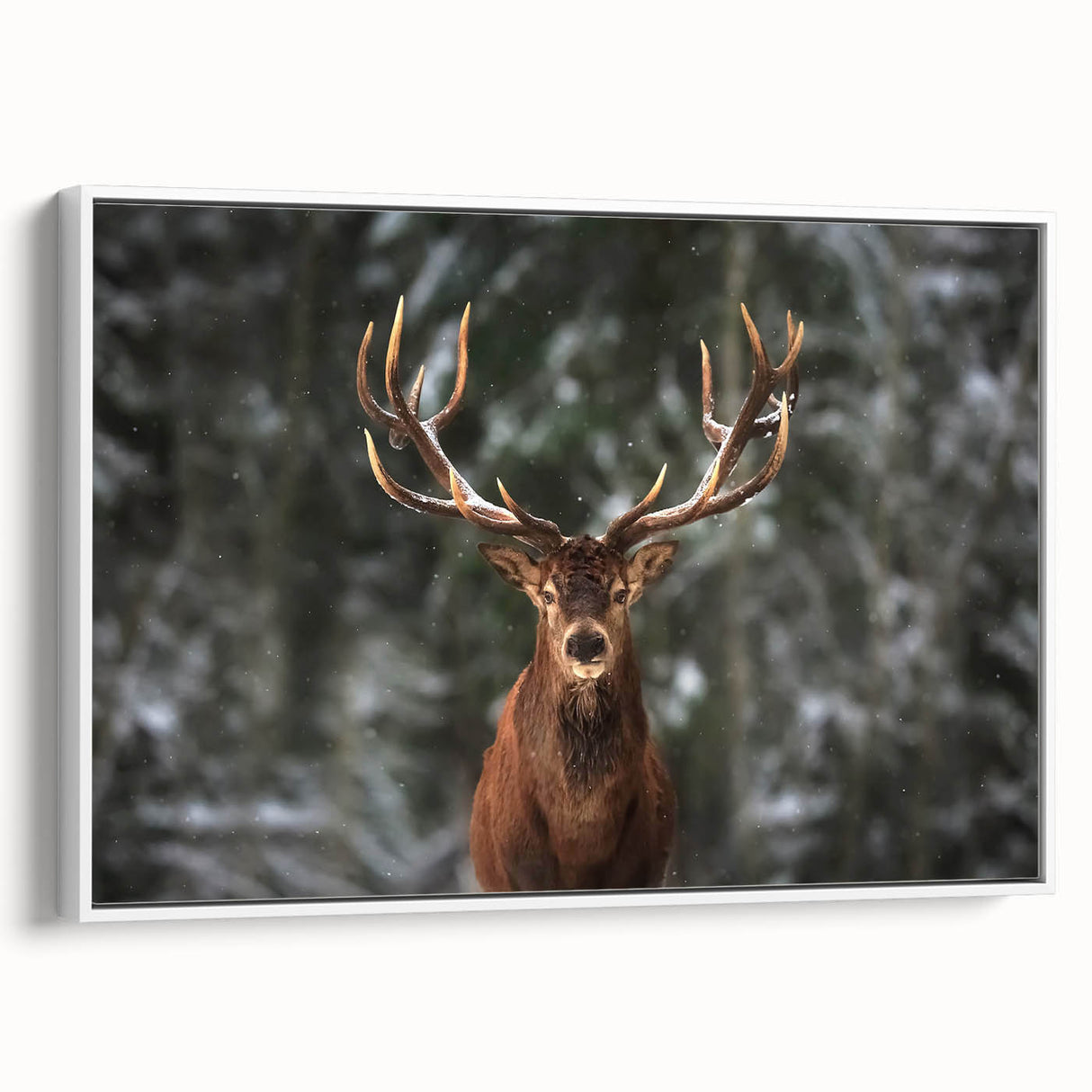 Framed wall art featuring a serene deer design in a white setting, showcasing intricate details and natural colors, perfect for wildlife enthusiasts and home decor.