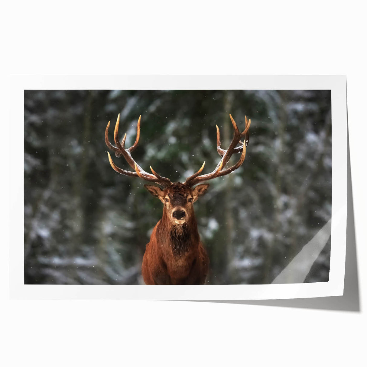 Stylish wall art print showcasing a serene deer design set against a lush forest backdrop, perfect for nature-inspired decor in homes or offices.