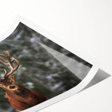 Elegant rolled print featuring a captivating deer design from the Animals A Wild Life collection, showcasing rich colors and intricate details, ideal for nature-inspired decor.