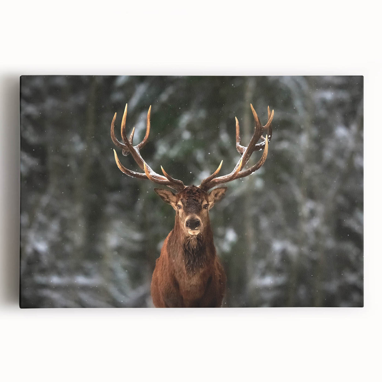 Stretched canvas wall art showcasing a majestic deer design in a natural forest setting, perfect for wildlife enthusiasts and nature-inspired decor.
