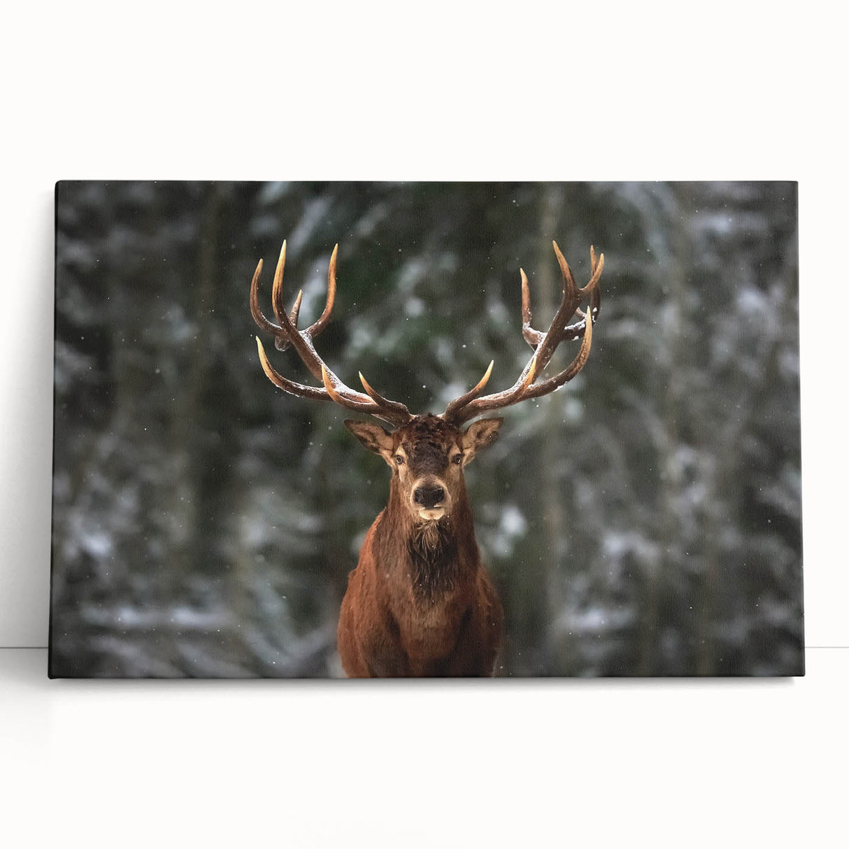 Stretched canvas wall art showcasing a serene deer design in a natural forest setting, with soft greens and earthy tones, perfect for wildlife enthusiasts' decor.