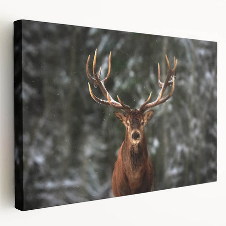 Stretched canvas featuring a serene side view of a deer in a natural setting, showcasing intricate details and warm earthy tones, ideal for wildlife decor.