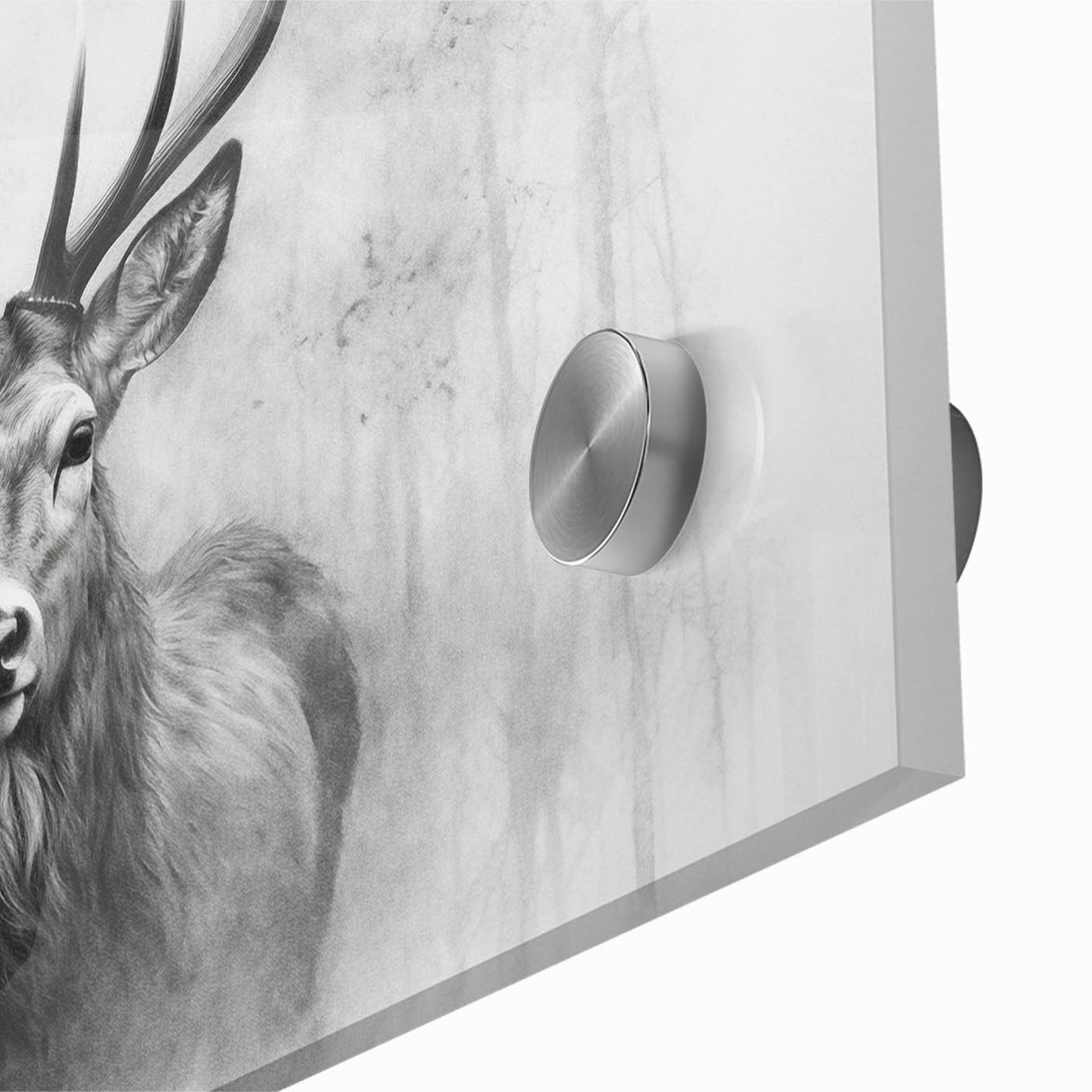 Close-up view of a deer design wall art piece made from acrylic glass, featuring detailed textures and vibrant colors that enhance its natural beauty, perfect for wildlife enthusiasts.