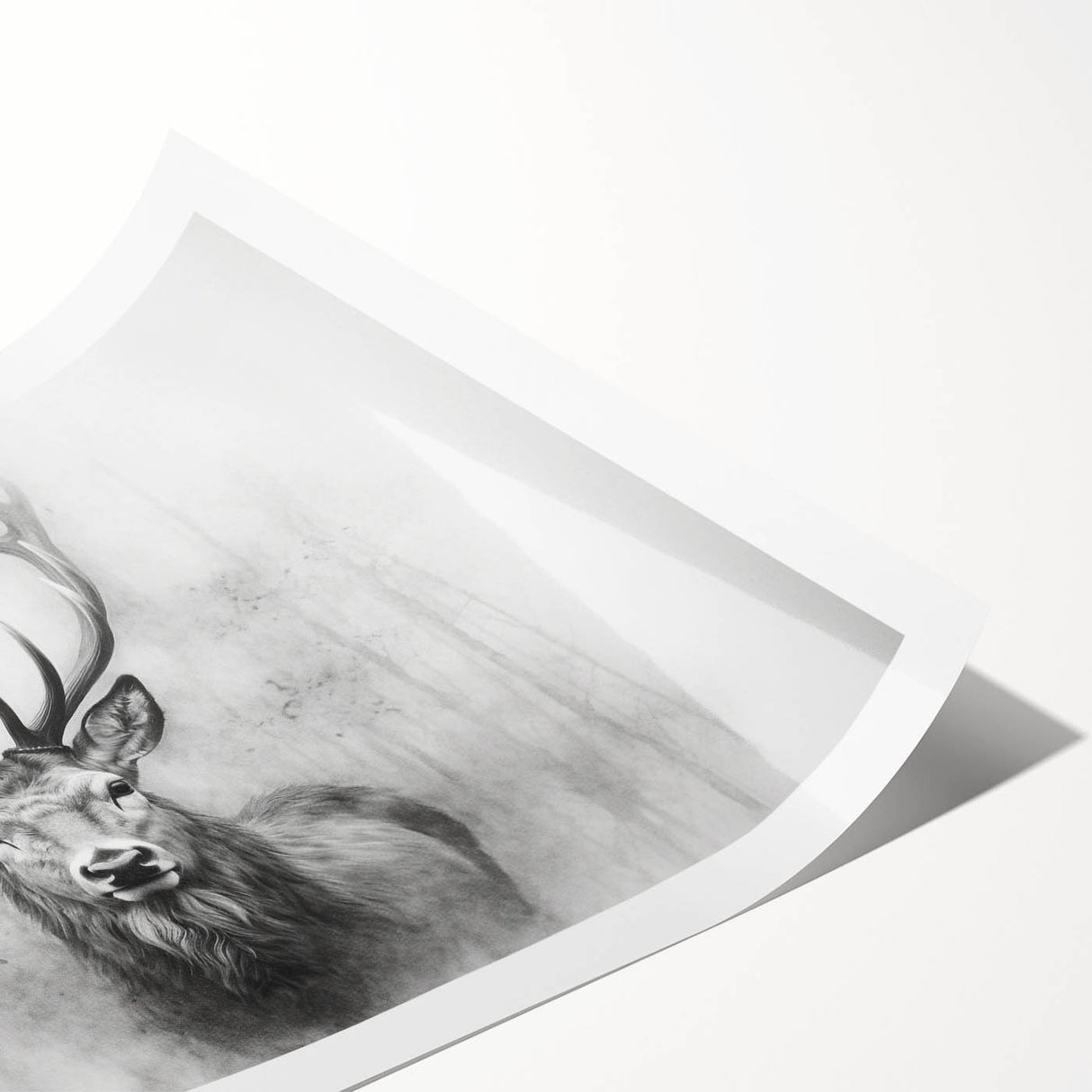 Elegant deer wall art print showcasing a serene forest scene, featuring soft earth tones and intricate details, rolled and ready for framing, perfect for nature lovers.