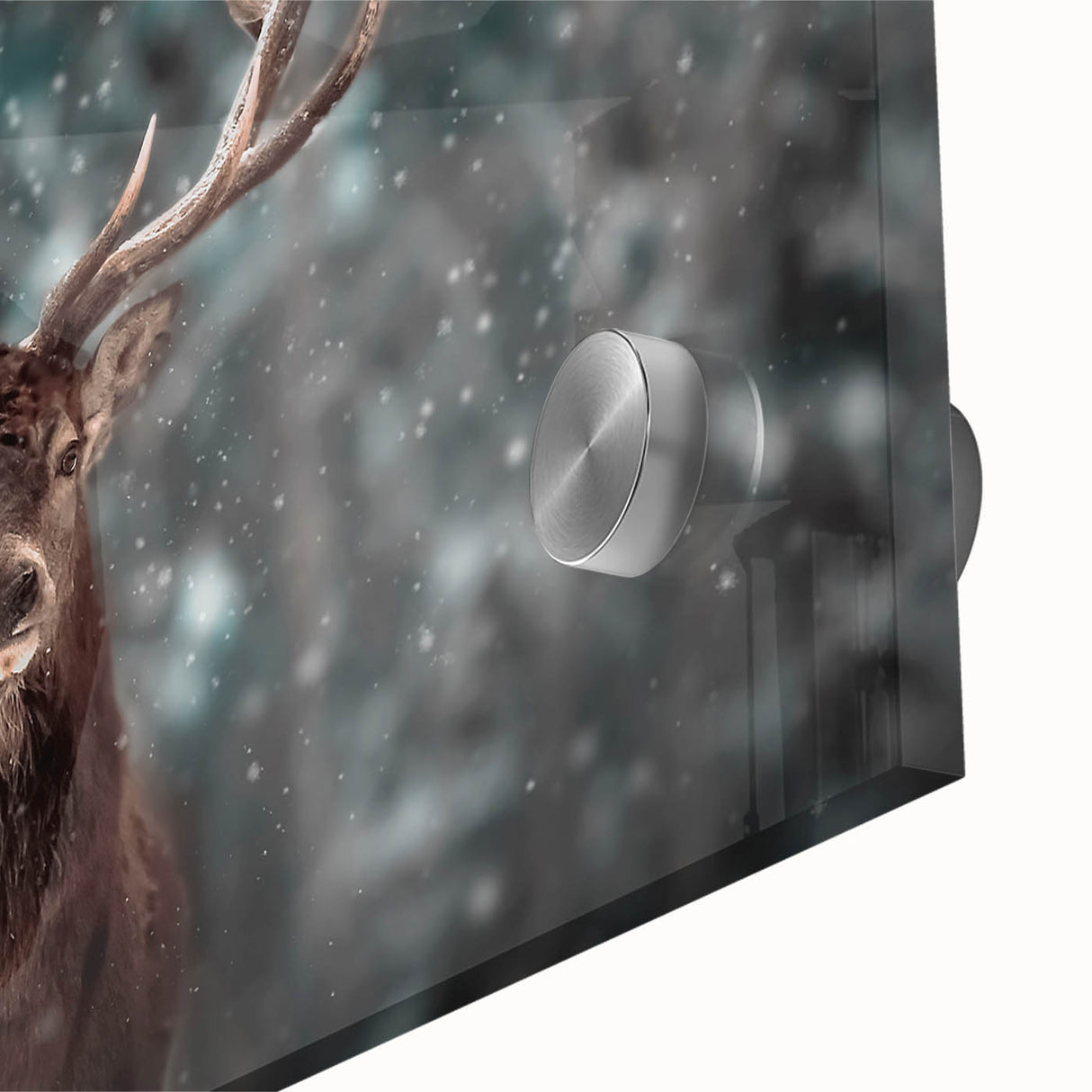 Close-up of a vibrant acrylic glass wall art piece showcasing a detailed deer design, perfect for wildlife enthusiasts. The artwork features rich colors and intricate textures, ideal for home decor or office settings.