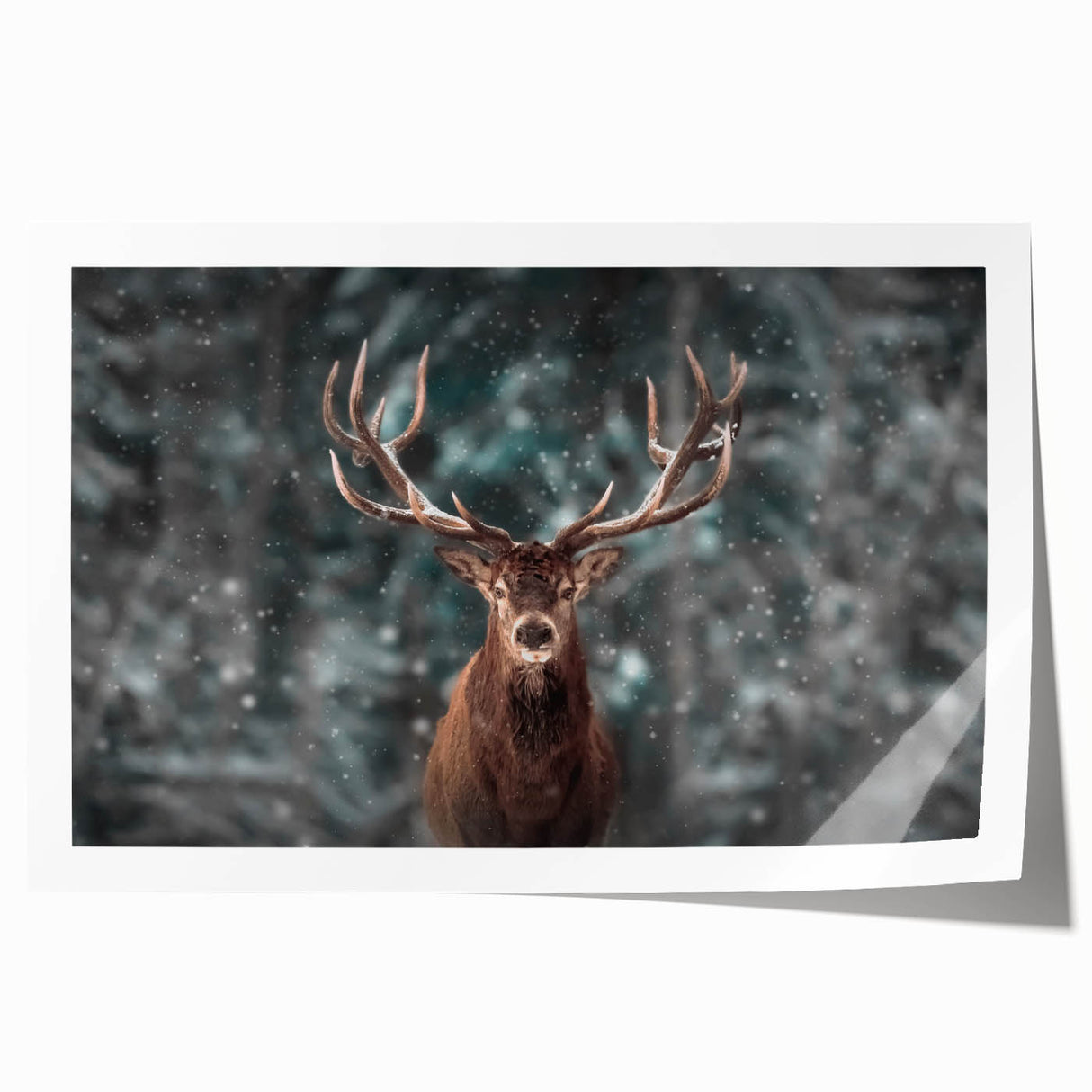 Deer wall art design showcasing intricate details and vibrant colors, printed on high-quality canvas, perfect for nature lovers seeking home decor inspiration.