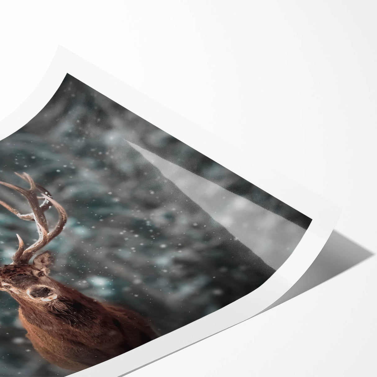 Beautiful rolled wall art print featuring a serene deer design in a lush forest setting, perfect for adding a touch of nature to your home decor.