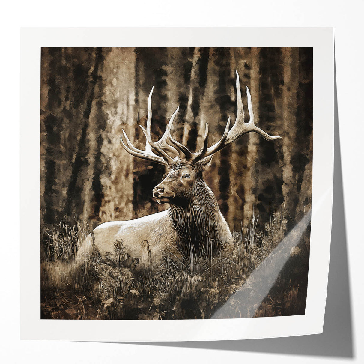 Deer wall art collection showcasing a glossy finish, featuring various deer species in a natural setting, ideal for wildlife enthusiasts and home decor.