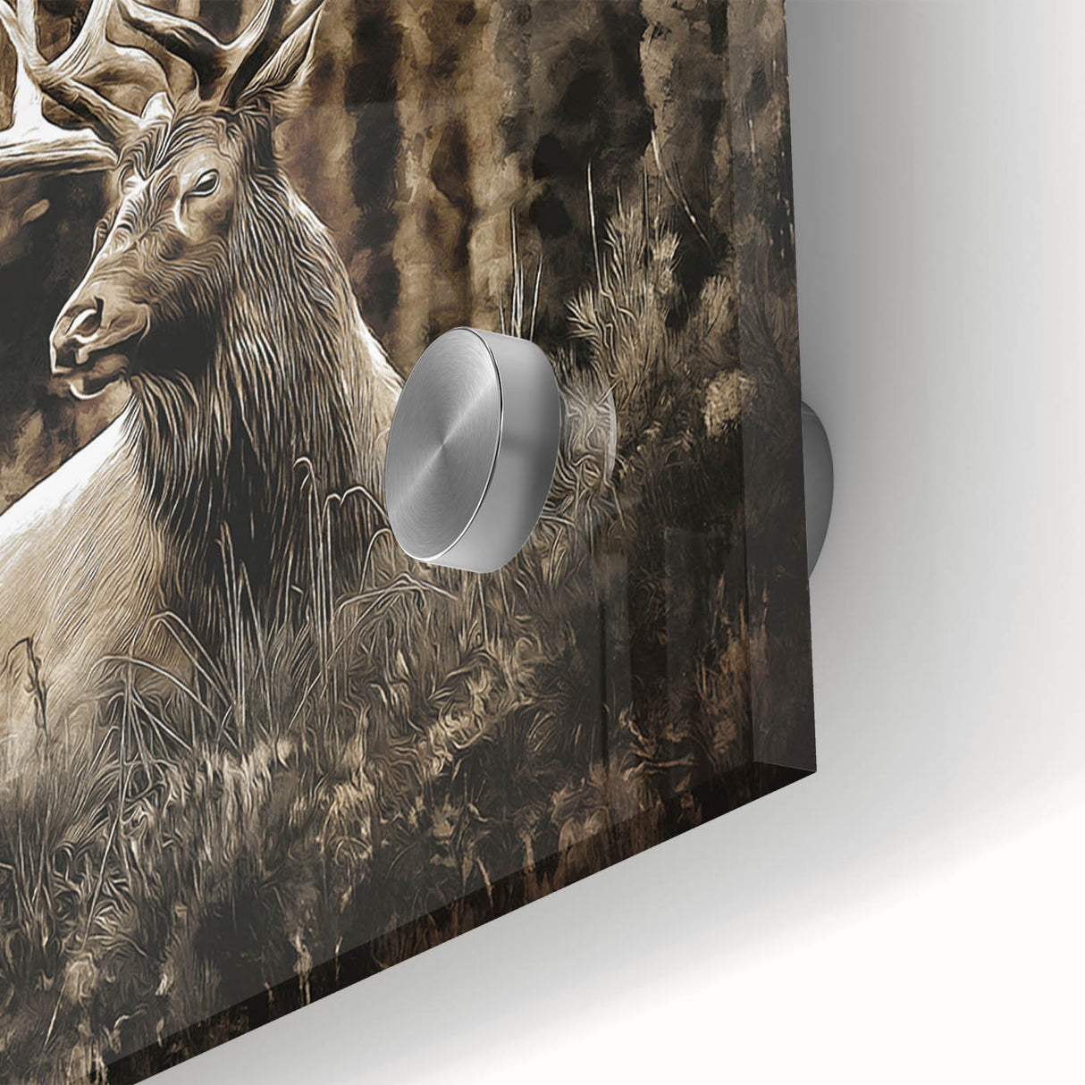 Close-up of a stunning deer wall art design printed on acrylic glass, showcasing intricate details and vibrant colors, perfect for wildlife enthusiasts' home decor.