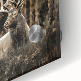 Close-up of a stunning deer wall art design printed on acrylic glass, showcasing intricate details and vibrant colors, perfect for wildlife enthusiasts' home decor.