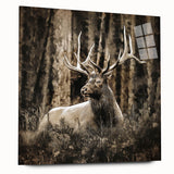 Side view of a deer-themed wall art collection printed on acrylic glass, showcasing intricate wildlife designs with vibrant colors, perfect for nature enthusiasts' decor.