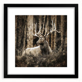 Black-framed wall art featuring a stylish deer design from the 'A Wild Life' collection, showcasing intricate details and a modern aesthetic, perfect for nature lovers.