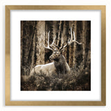 Elegant wall art collection showcasing a majestic deer design in a gold frame, set against a mat background, perfect for nature-themed home decor.