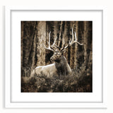 Framed wall art collection featuring a serene deer design, set in a sleek white frame with a mat, perfect for enhancing nature-themed decor in living spaces.