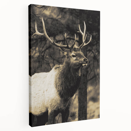 Stretched canvas wall art showcasing a side view of a majestic deer in a serene forest setting, perfect for nature lovers and home decor enthusiasts.