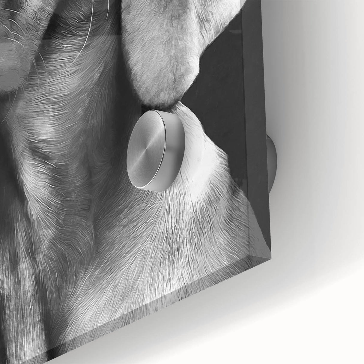 Close-up of an acrylic glass wall art piece showcasing a vibrant design of wild dogs in a natural setting, emphasizing their playful expressions and dynamic movement, perfect for animal lovers.