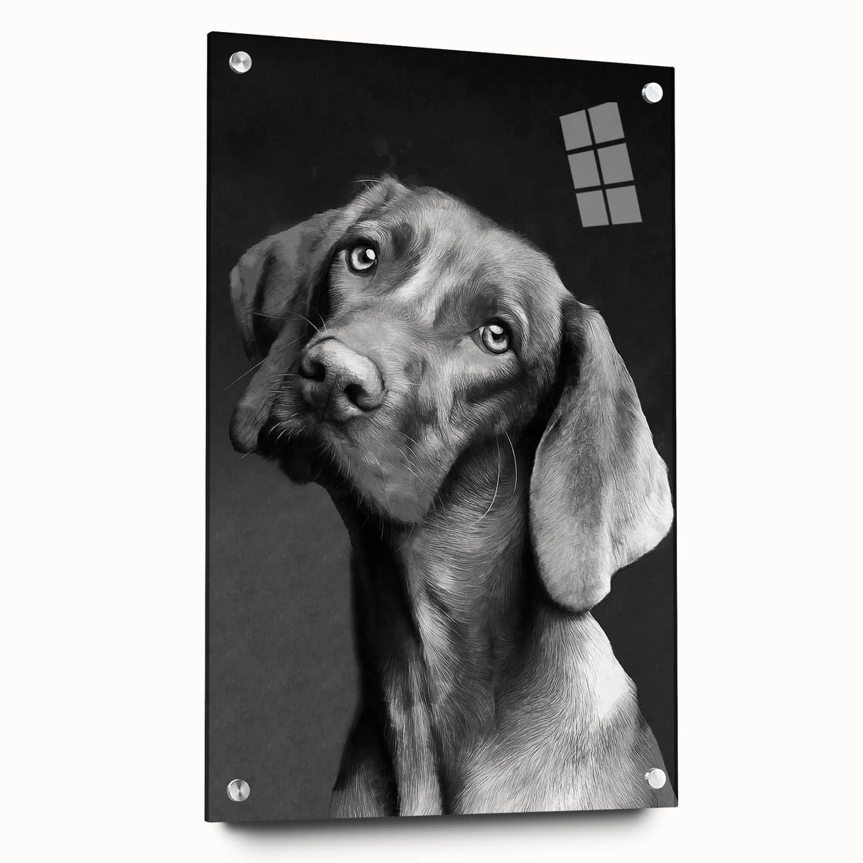 Acrylic glass wall art featuring a vibrant dog design from the "Animals A Wild Life" collection, displayed from the side with visible mounting pins, ideal for pet lovers.