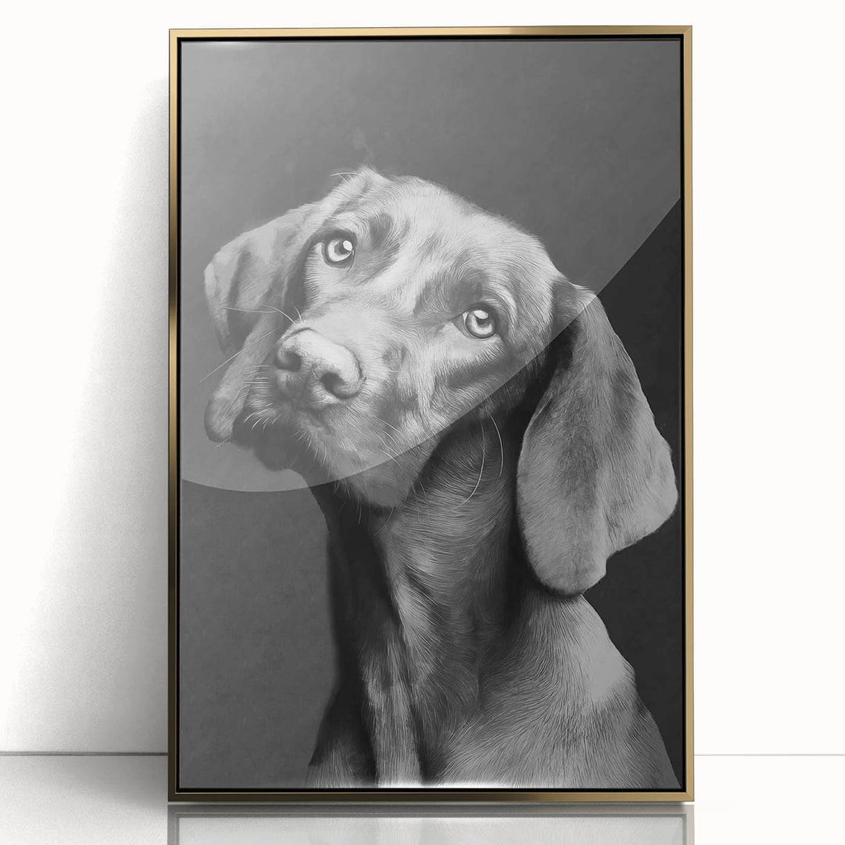 Framed acrylic wall art featuring a vibrant design of wild dogs, set against a gold background. The artwork showcases detailed textures and colors, ideal for animal lovers and home decor enthusiasts. Perfect for adding a touch of nature-inspired elegance to any space.