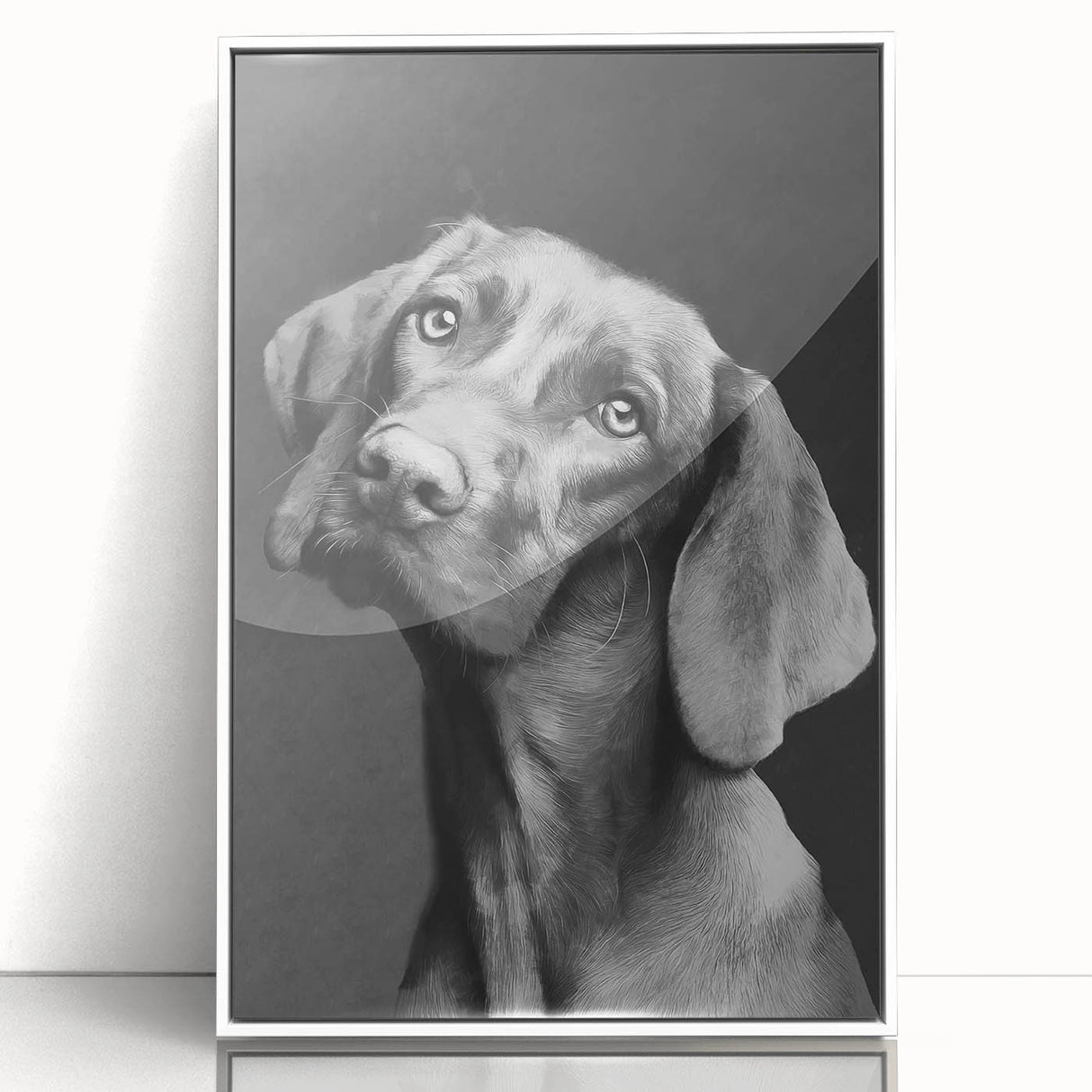 Framed wall art featuring a vibrant design of various dog breeds against a white background, showcasing unique styles and details in a contemporary setting.