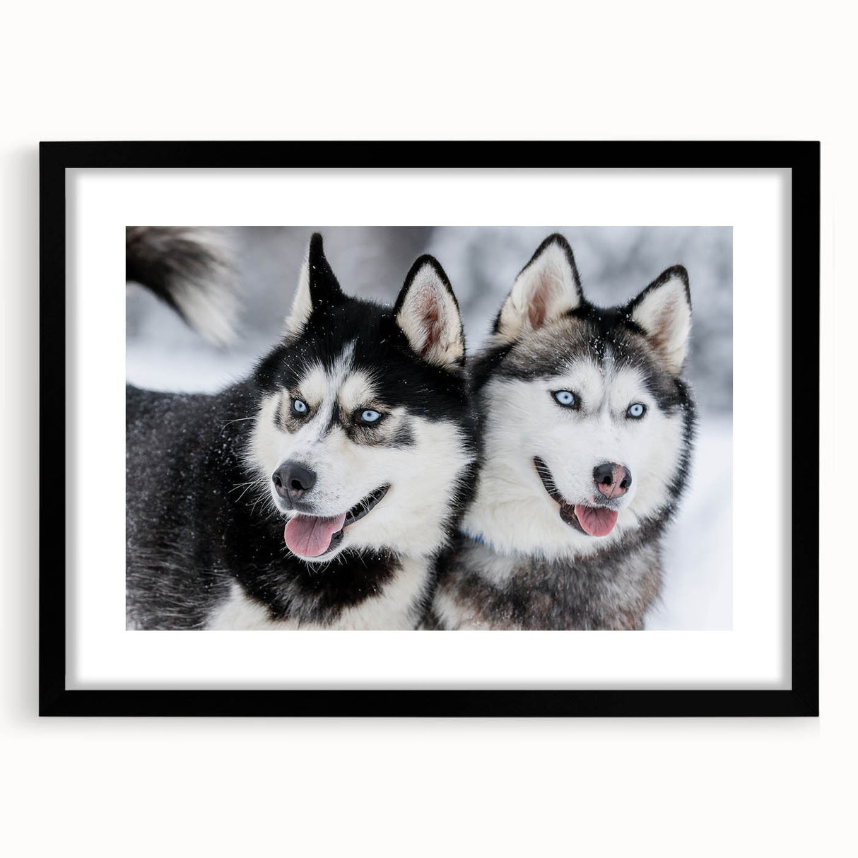 Black-framed wall art featuring a collection of vibrant dog illustrations in a wild life theme, showcasing playful poses and colors, ideal for pet lovers' decor.