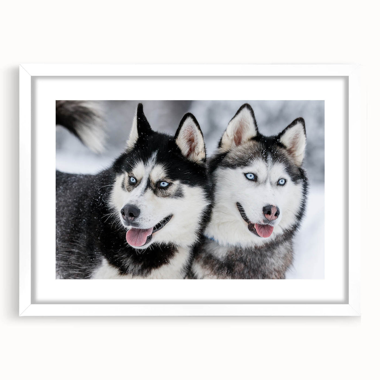 Framed wall art collection featuring a vibrant illustration of various dog breeds, set against a white mat background. Perfect for animal lovers, this design adds a playful touch to any room decor.