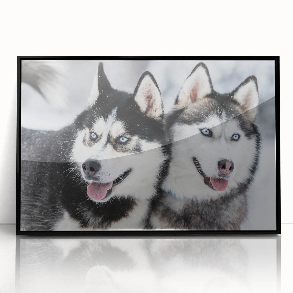 Framed wall art collection showcasing a vibrant dog design against a black background, ideal for pet lovers' home decor. Acrylic frame enhances visuals.