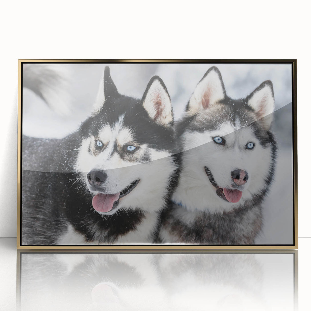 Framed wall art featuring a vibrant design of playful dogs in varied colors, elegantly displayed in acrylic with a gold frame, perfect for dog lovers.