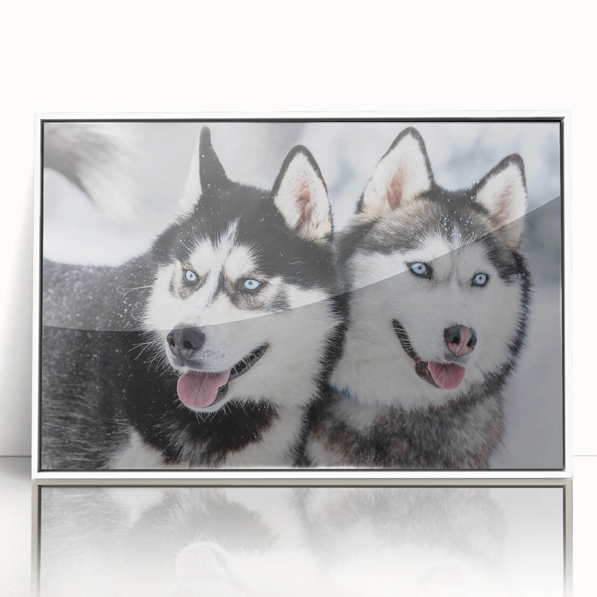 Framed wall art collection featuring a stunning design of playful dogs in a wild setting, displayed in a sleek white frame, perfect for animal lovers and home decor.