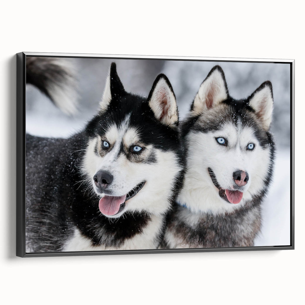 Framed wall art featuring a stylized dog design in a black frame, showcasing vibrant colors and intricate details, ideal for animal lovers and home décor.