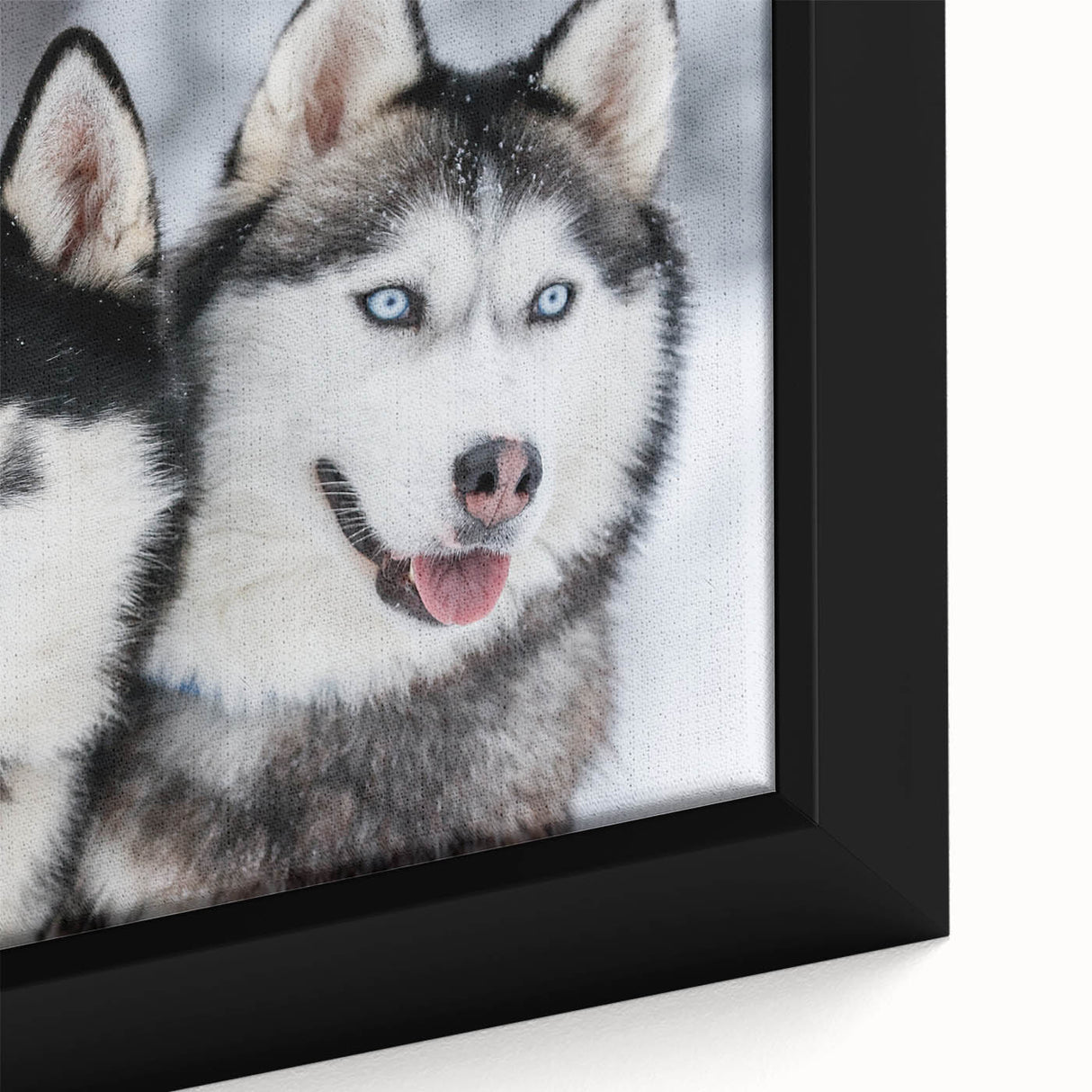 Close-up of a framed canvas wall art piece showcasing a vibrant dog design, featuring rich colors and intricate details, perfect for animal lovers and home decor.