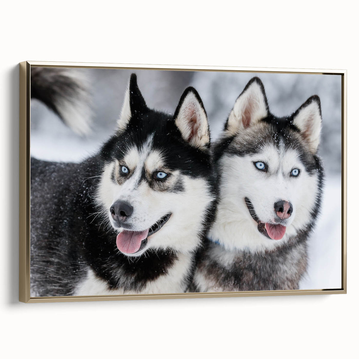 Framed canvas wall art featuring a vibrant design of playful dogs in a wild setting, with a sleek gold frame enhancing its modern appeal, perfect for pet lovers.