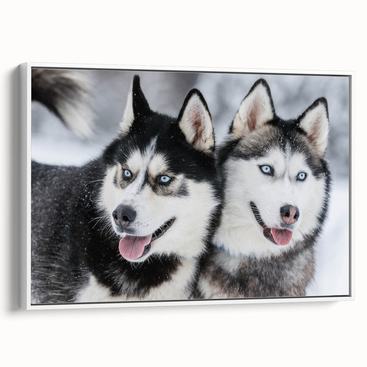 Framed wall art collection featuring a vibrant design of wild dogs in a natural setting, showcasing detailed fur textures and rich colors on a white background, perfect for animal lovers and home decor enthusiasts.