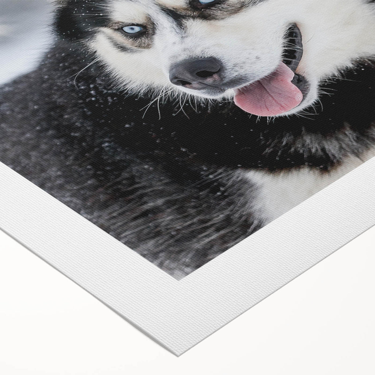 Vibrant rolled canvas art depicting playful dogs in a wild-life setting, showcasing rich colors and intricate details, perfect for animal lovers' home decor.