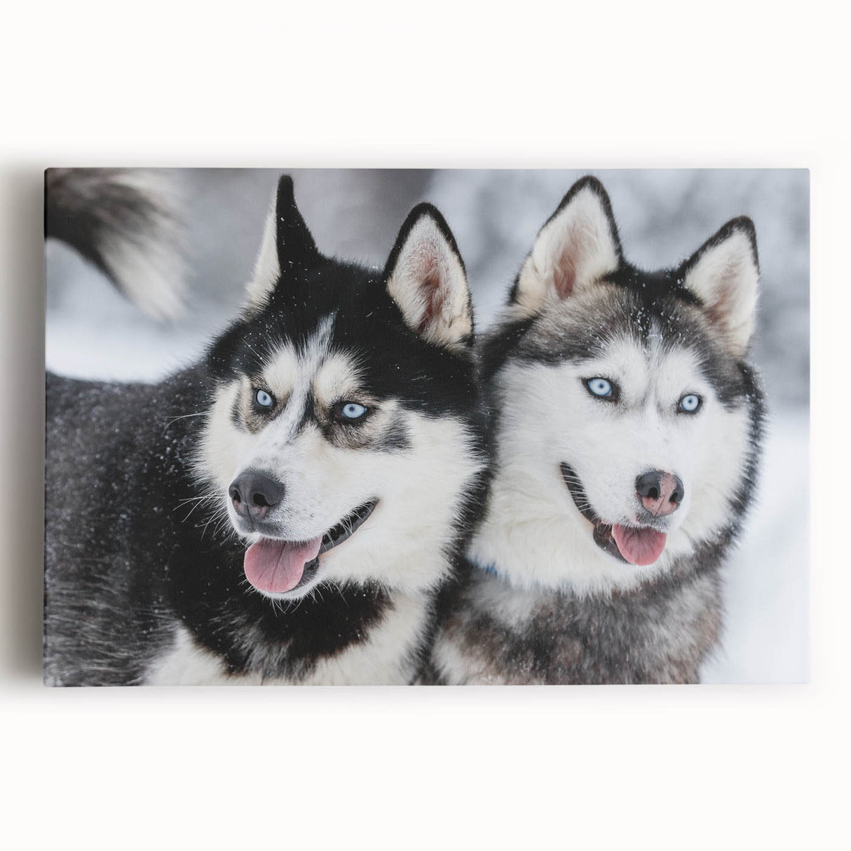 Stretched canvas wall art showcasing a vibrant design of playful dogs in various poses, perfect for adding a lively touch to any pet lover's home decor.
