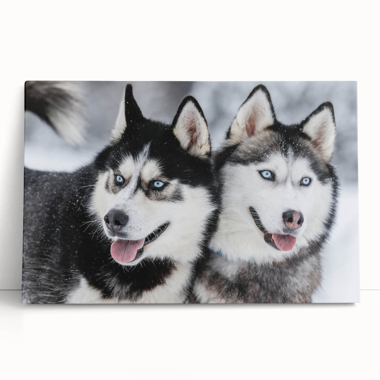 Stretched canvas wall art design showcasing a group of playful dogs in a natural setting, featuring vibrant colors and a whimsical, joyful atmosphere. Ideal for animal lovers and home decor enthusiasts.