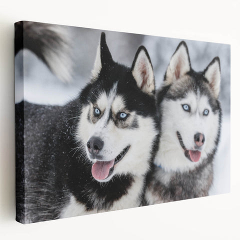 Stretched canvas wall art depicting a vibrant design of wild dogs in a natural setting, showcasing rich colors and intricate details, perfect for animal lovers’ home decor.