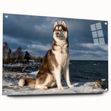 Acrylic wall art collection featuring a vibrant dog design, showcased from the side with pins for easy hanging. Perfect for animal lovers and modern decor.