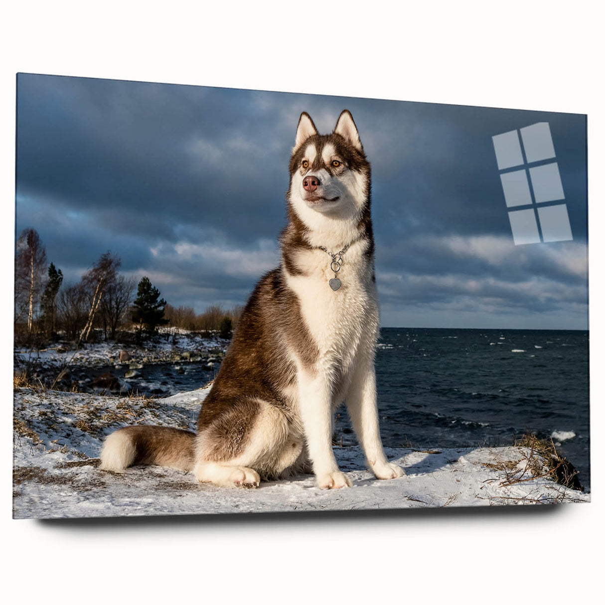 Acrylic wall art design featuring playful dogs in a vibrant wild-life theme, showcased from the side to highlight its sleek finish and modern aesthetic. Perfect for animal lovers and home decor enthusiasts.