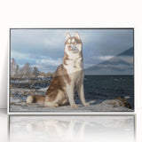 Framed wall art showcasing a vibrant dogs design from the "Animals: A Wild Life" collection, featuring a sleek white frame and acrylic glass, perfect for animal lovers' decor.