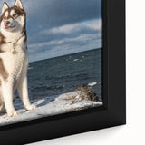 Close-up of a framed canvas wall art featuring a vibrant dog design with rich colors and intricate details, perfect for adding a playful touch to any room decor.