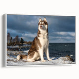 Framed canvas wall art featuring a dog design from the Animals A Wild Life collection, displayed against a white backdrop, showcasing vibrant colors and intricate details. Ideal for pet lovers seeking stylish home decor.