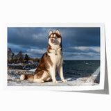 Colorful rolled art print showcasing a vibrant design of various dog breeds in a wild, playful setting, perfect for adding character to any room.