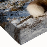 Close-up of a vibrant stretched canvas wall art featuring a playful dog design, showcasing intricate details and colors, perfect for animal lovers' home decor.