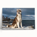 Stretched canvas wall art showcasing a vibrant design of playful dogs in a wild setting, perfect for animal lovers and home decor enthusiasts.