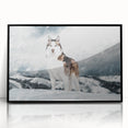 Framed wall art collection showcasing a vibrant design of wild dogs, featuring a sleek black frame and glossy acrylic finish, perfect for animal lovers and home decor enthusiasts.