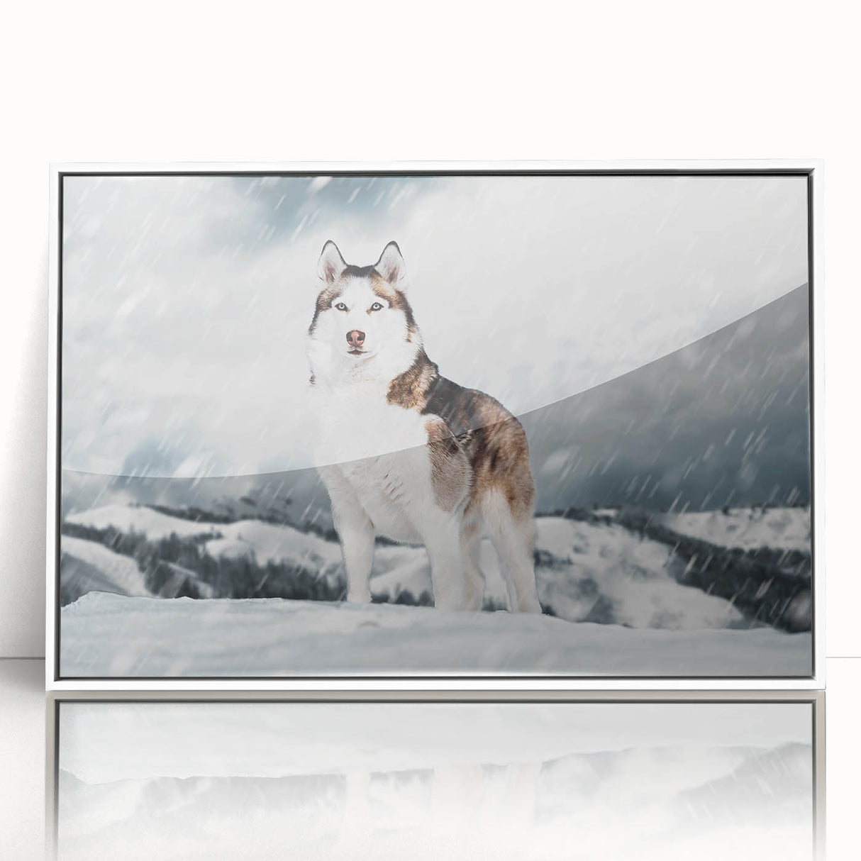 Framed wall art featuring a collection of twelve colorful dog designs in a white frame, showcasing various breeds and playful poses, perfect for animal lovers.