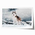 Colorful wall art featuring a collection of playful dogs in various poses, printed on high-quality canvas, perfect for animal lovers and home decor enthusiasts.