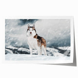 Colorful wall art featuring a collection of playful dogs in various poses, printed on high-quality canvas, perfect for animal lovers and home decor enthusiasts.