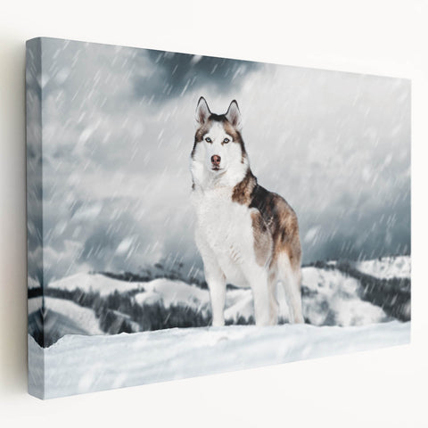 Stretched canvas artwork showcasing a vibrant collection of wild dog designs in a natural setting, perfect for animal lovers and home decor enthusiasts.